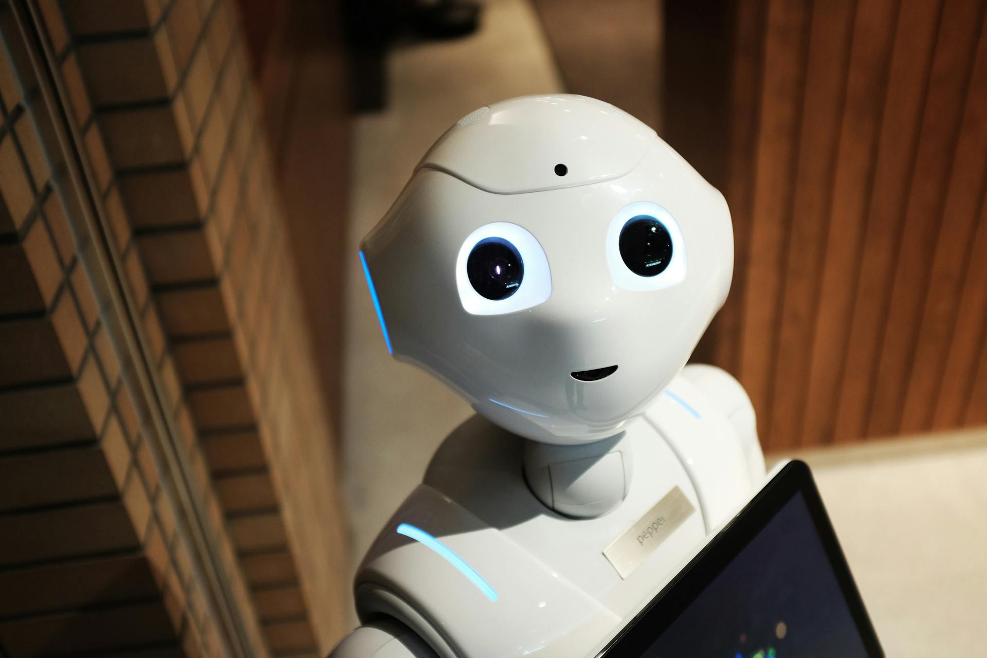 企业   AI SEO 优化