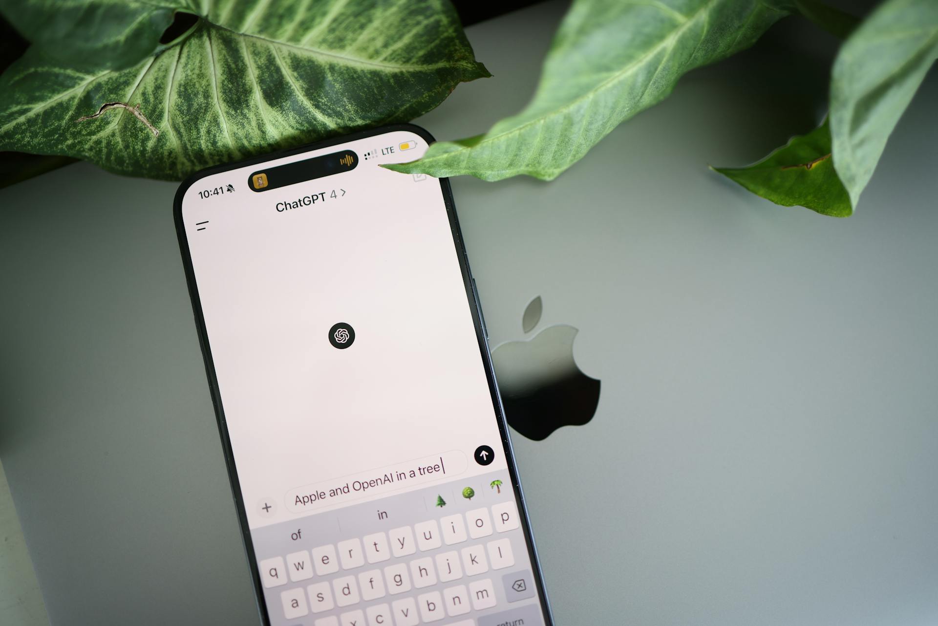 DeepSeek 行业关键词排名优化解决方案