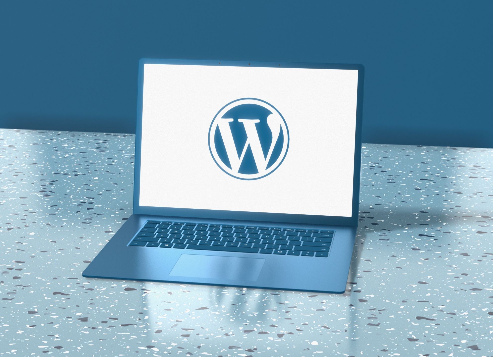 WordPress网站速度优化要多少钱，可以定制吗？