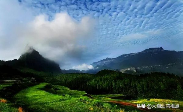 森林旅游景点排行榜前十名(中国最美的十大森林公园)
