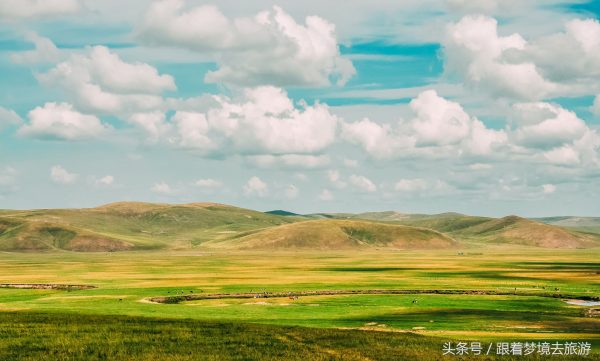 世界四大草原面积排名(世界四大草原有哪些)