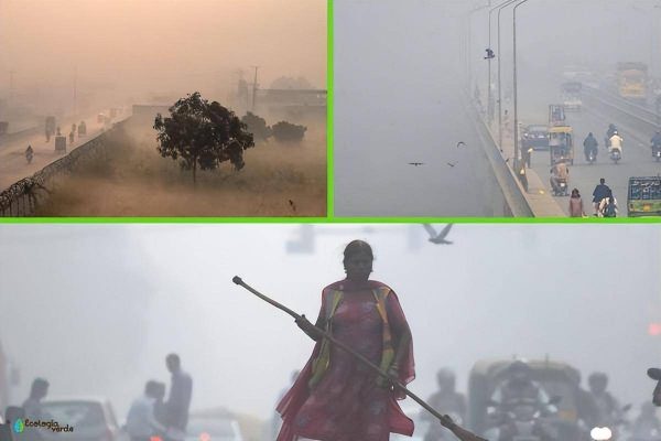 世界污染城市排名有哪些(世界上污染程度最高的八个城市)