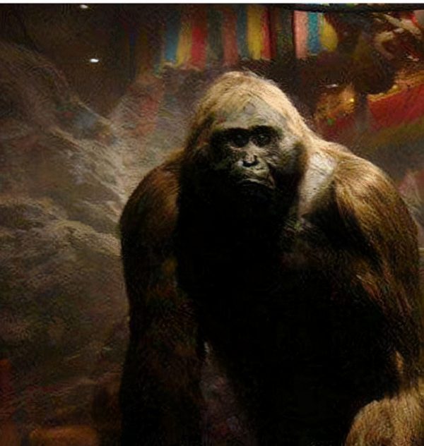 世界上最大的猩猩(世界上最大的猿)