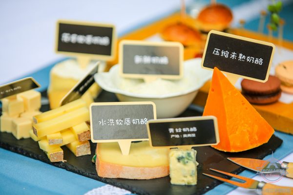 世界十大奶酪产地排行榜(全球十大奶酪产地)
