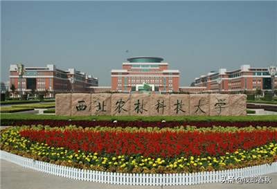 中国面积最大的十所大学(中国面积最大的大学前10名)