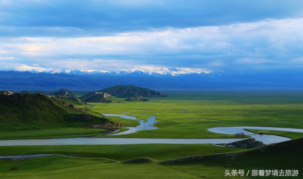 世界四大草原面积排名(世界四大草原有哪些)