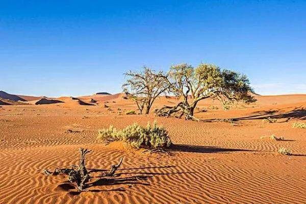 世界十大沙漠之最(世界上最古老的十个沙漠)
