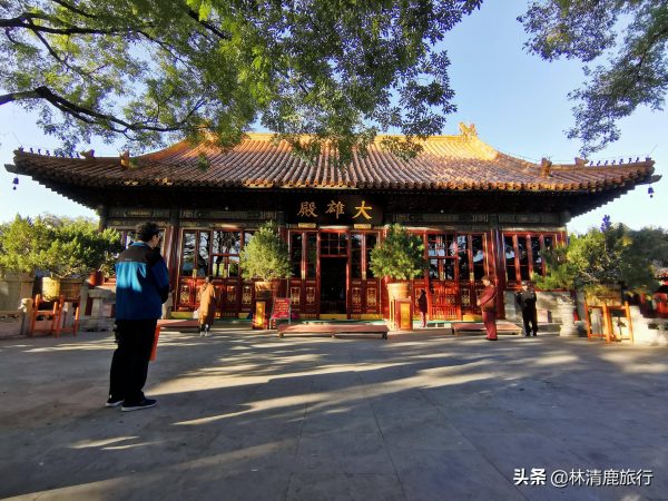 中国十大最值得去的寺庙(中国10大高口碑寺庙)