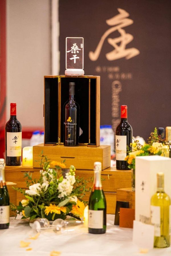 中国十大红酒品牌排行榜(中国最棒的10款葡萄酒)