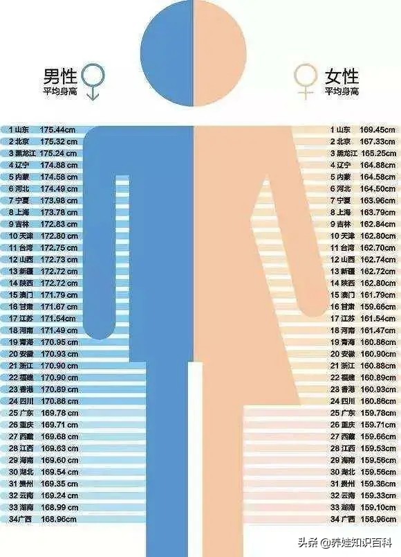 中国男性平均身高(全国平均身高排名)