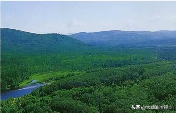 森林旅游景点排行榜前十名(中国最美的十大森林公园)