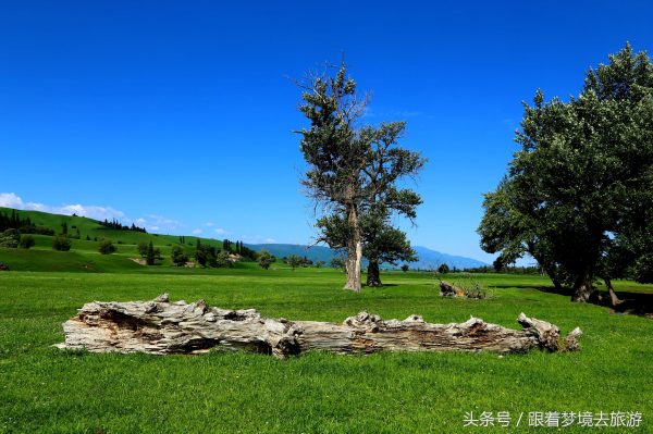 世界四大草原面积排名(世界四大草原有哪些)