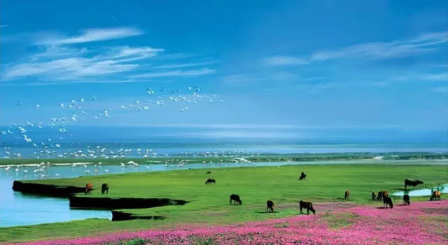 中国著名的五大湖泊(国内不可忽略的五大湖泊)