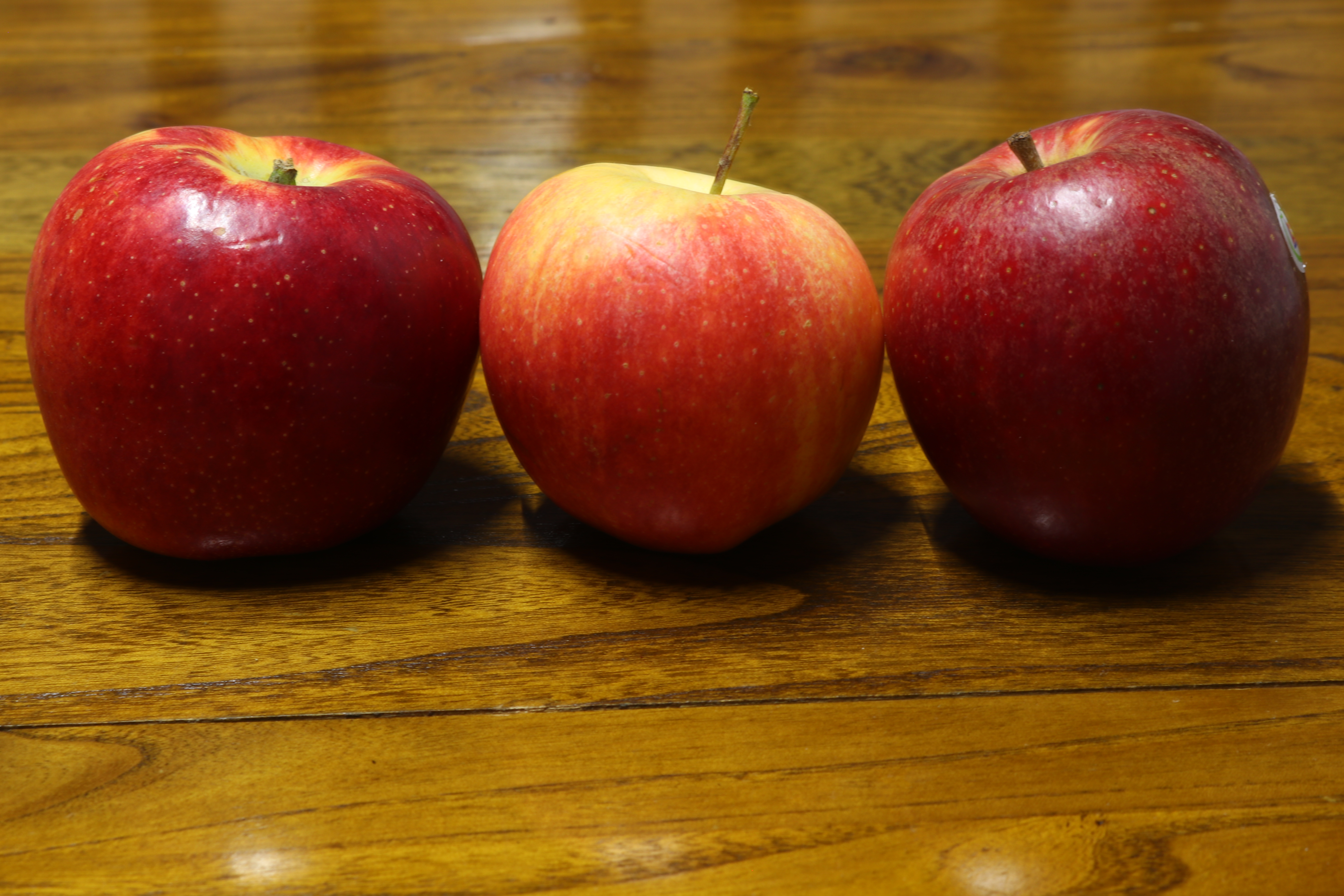 世界上有多少种苹果(世界上苹果品种有哪些)