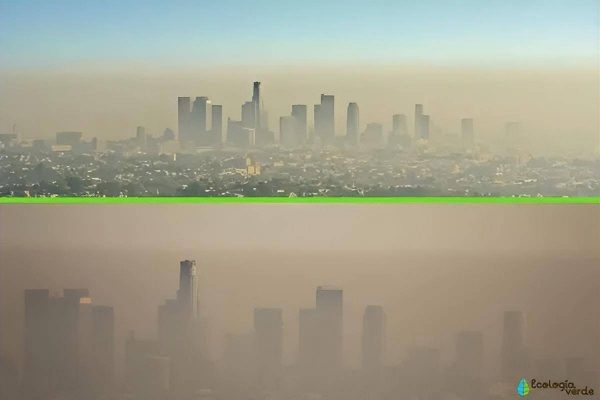世界污染城市排名有哪些(世界上污染程度最高的八个城市)