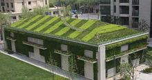 屋顶绿化(离地的种植技术)