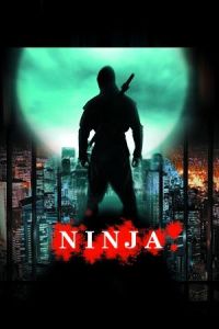 ninja(游戏的装备)