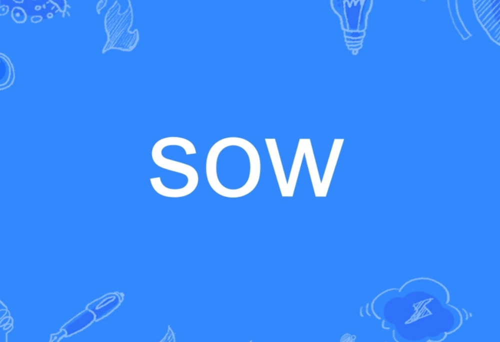 sow(英文单词)-时尚资讯