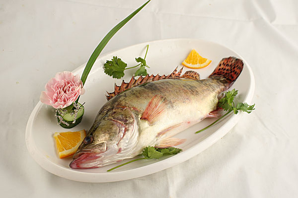 桂鱼(脂科鱼类)