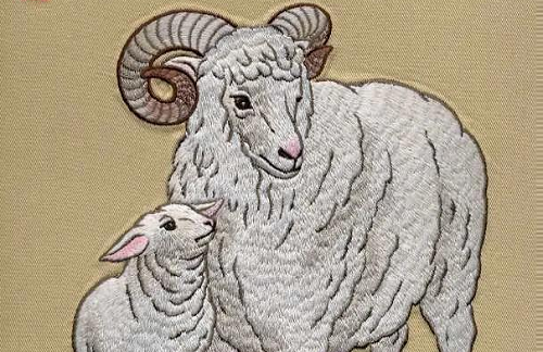 羊今年几岁 属羊的今年多大2023年