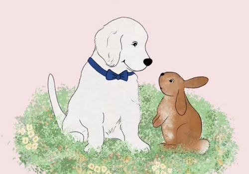 兔和狗属相合不合 属狗和属兔的合不合